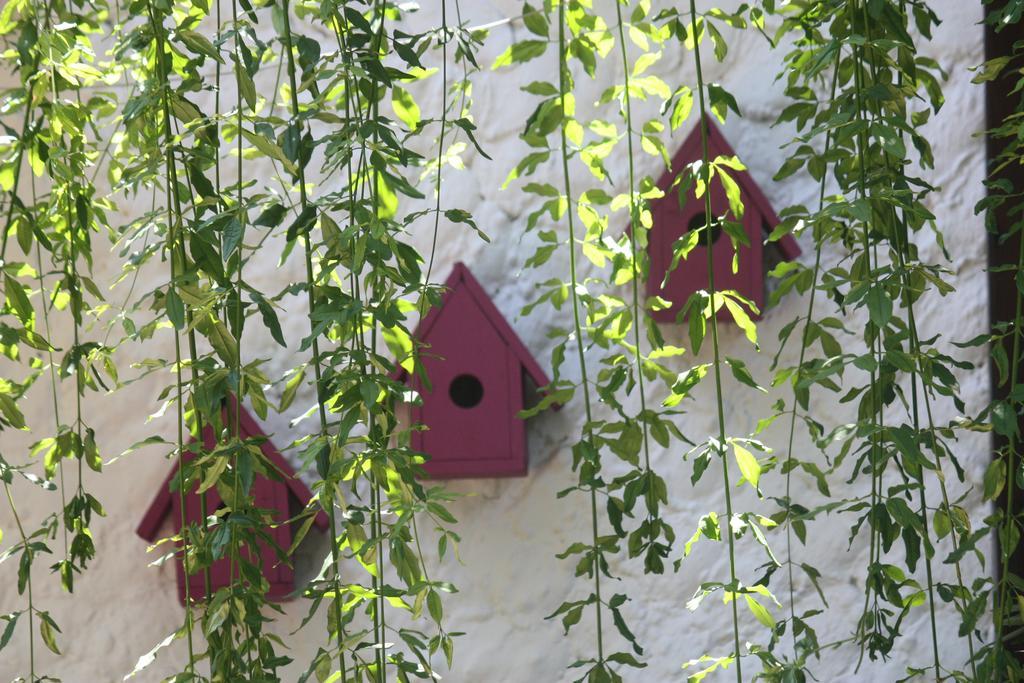 Hotel Happy Caretta Dalyan Exterior photo