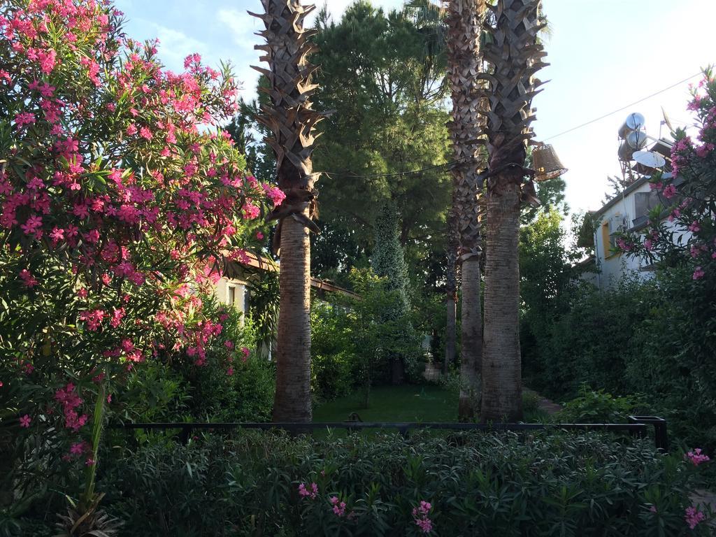Hotel Happy Caretta Dalyan Exterior photo