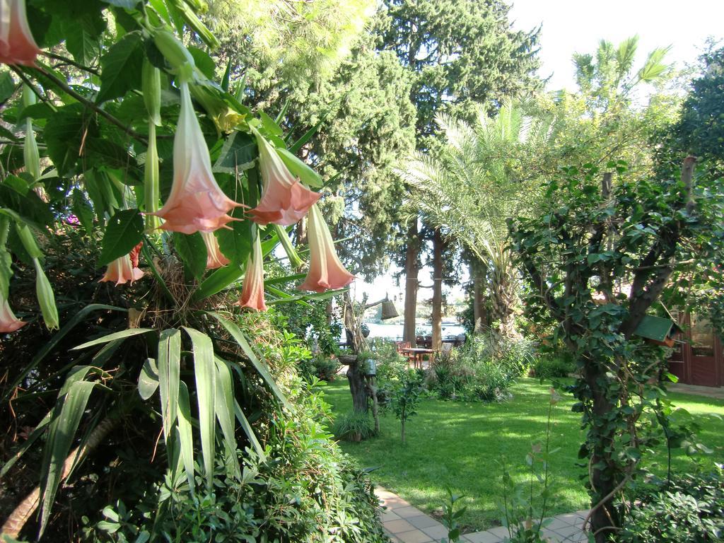 Hotel Happy Caretta Dalyan Exterior photo